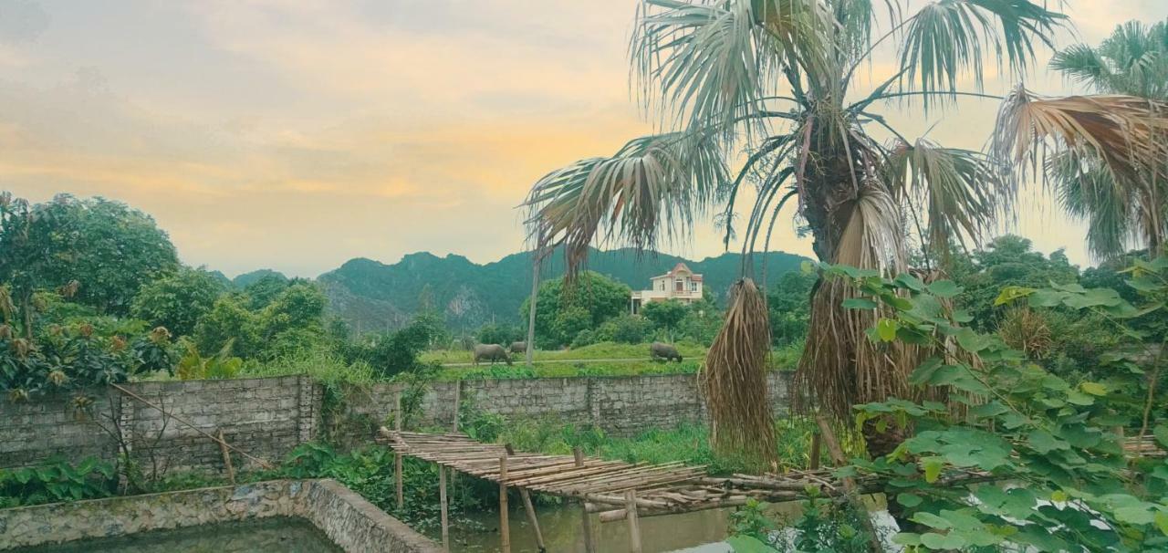 נין בין Sunny Trang An Homestay מראה חיצוני תמונה